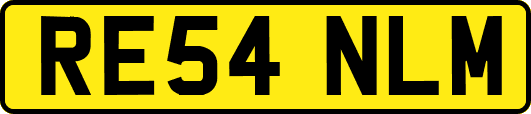 RE54NLM