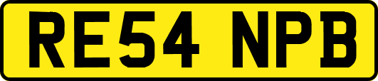 RE54NPB