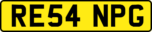 RE54NPG