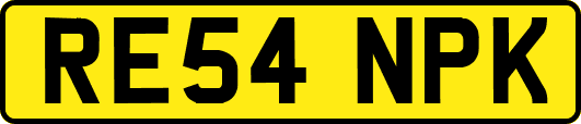 RE54NPK