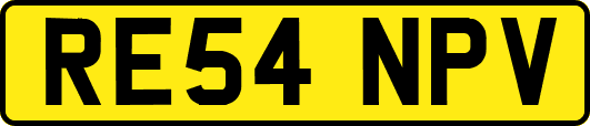 RE54NPV