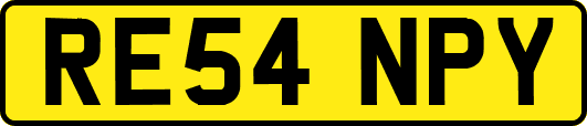 RE54NPY
