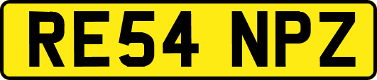 RE54NPZ
