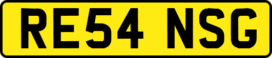 RE54NSG