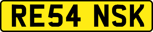 RE54NSK
