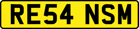RE54NSM