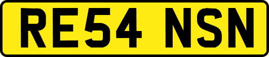 RE54NSN