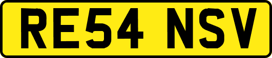 RE54NSV