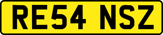 RE54NSZ