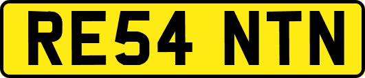 RE54NTN