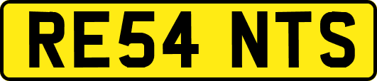 RE54NTS