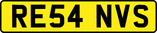 RE54NVS