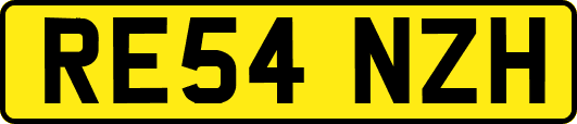 RE54NZH