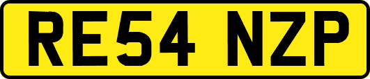 RE54NZP