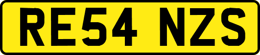 RE54NZS