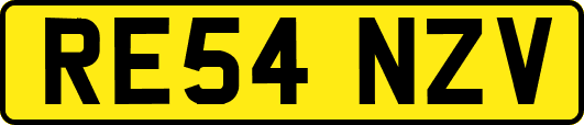 RE54NZV