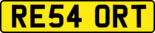 RE54ORT