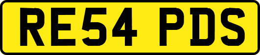RE54PDS