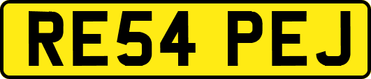 RE54PEJ