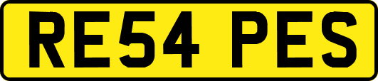 RE54PES