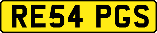 RE54PGS