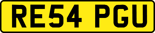 RE54PGU