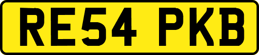 RE54PKB