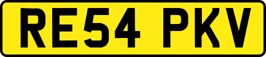 RE54PKV