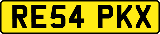 RE54PKX