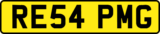 RE54PMG