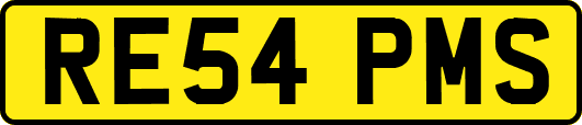 RE54PMS