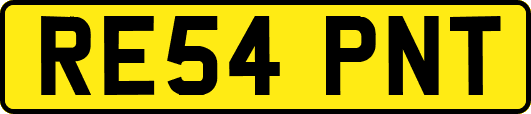 RE54PNT