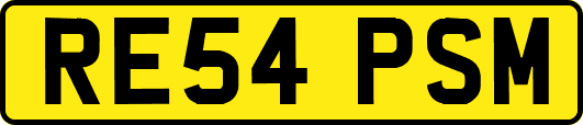 RE54PSM