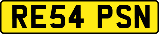 RE54PSN