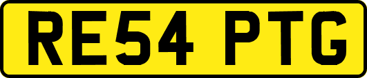 RE54PTG
