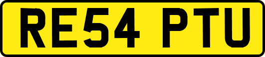 RE54PTU