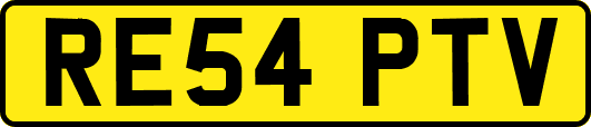 RE54PTV