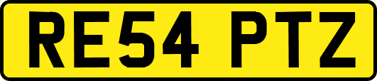 RE54PTZ