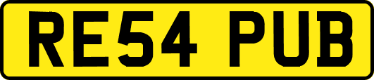RE54PUB