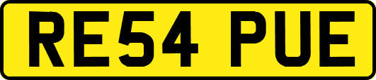 RE54PUE