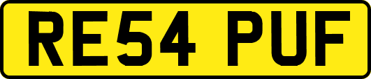 RE54PUF