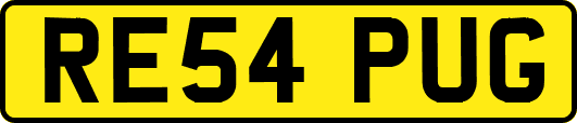 RE54PUG