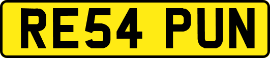 RE54PUN
