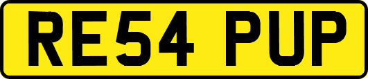 RE54PUP