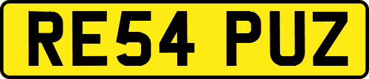 RE54PUZ