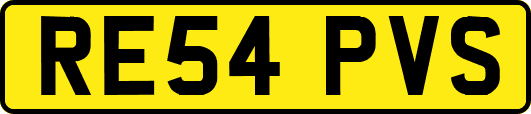 RE54PVS