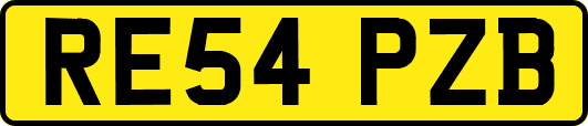 RE54PZB