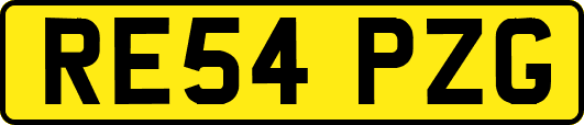 RE54PZG