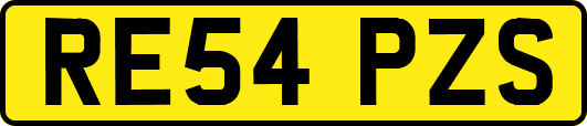 RE54PZS