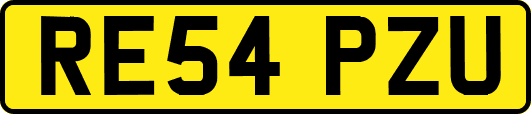 RE54PZU